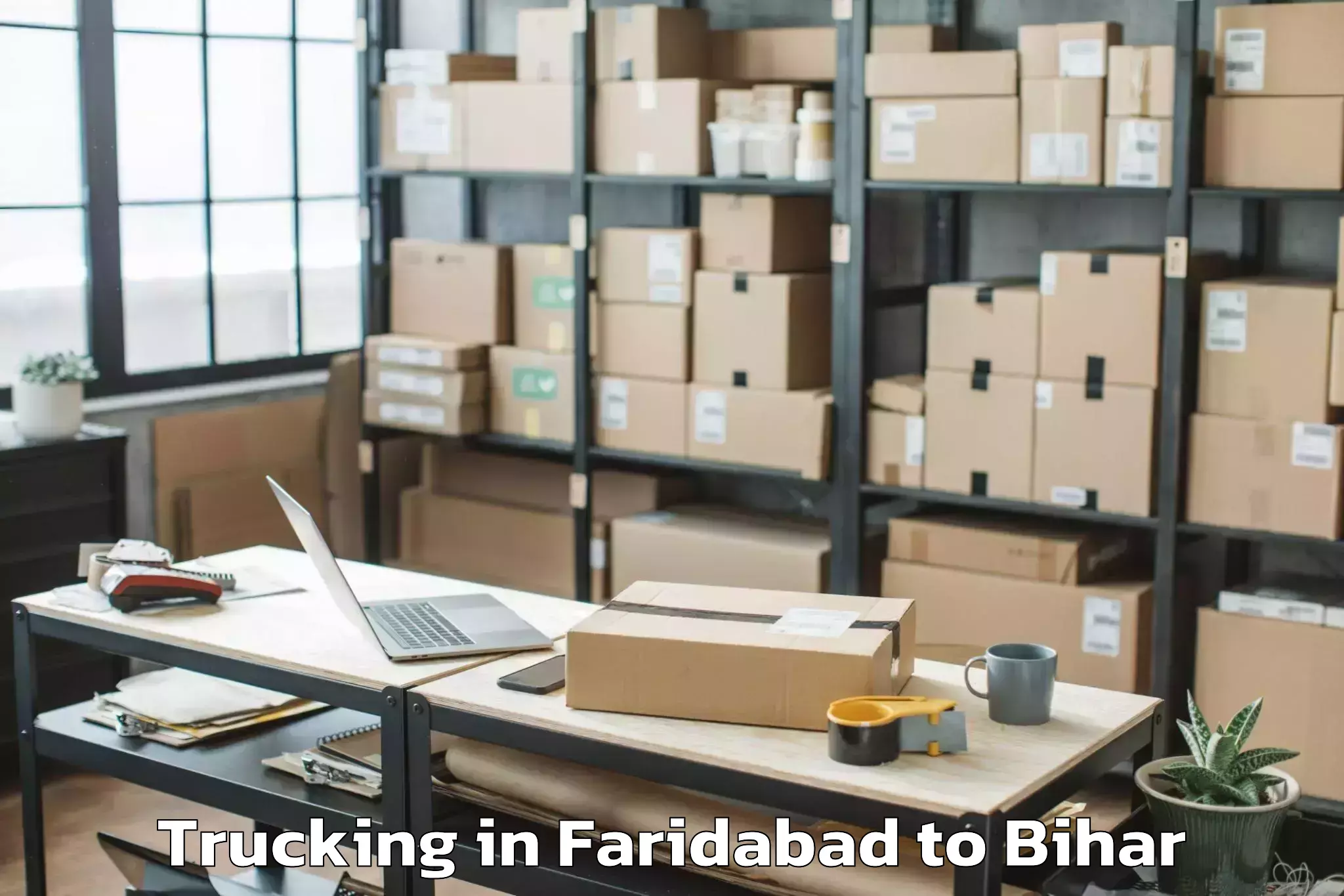 Professional Faridabad to Damdaha East Trucking